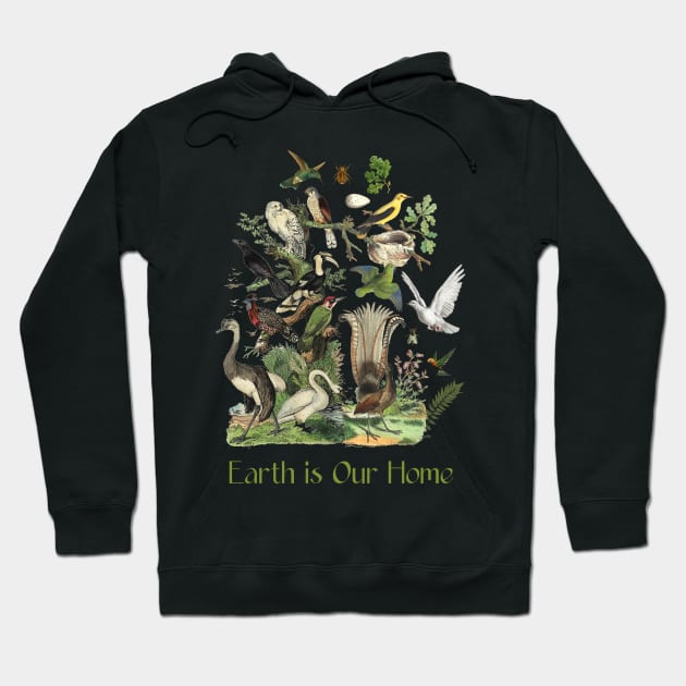 Wildlife Bird Illustration & Nature Conservation Tekst Hoodie by Biophilia